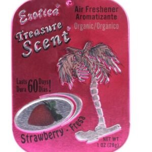 Car Treasure Scent (28g)
