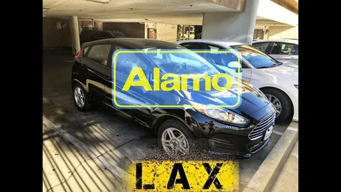 Popular Destinations for Alamo Car Rental